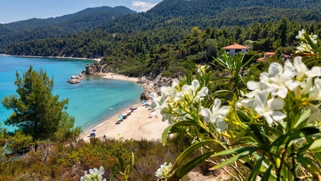 παραλια χαλκιδικη