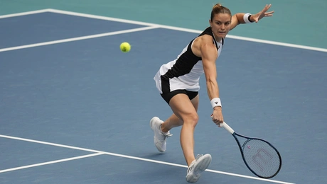 sakkari