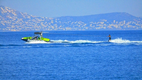 thalassio-spor