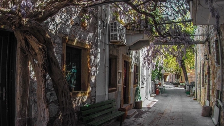 Βεσσα χιος