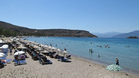Paralia