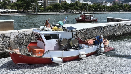 Volos nekra psaria