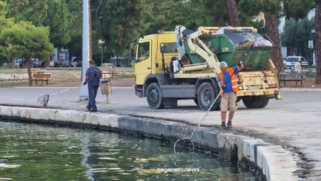 Volos psaria