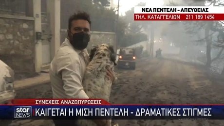 Δημοσιογράφος του Star έσωσε σκύλο