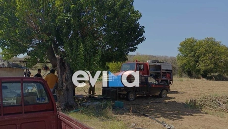 evoia_pigadi