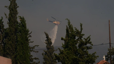fotia-attiki-5