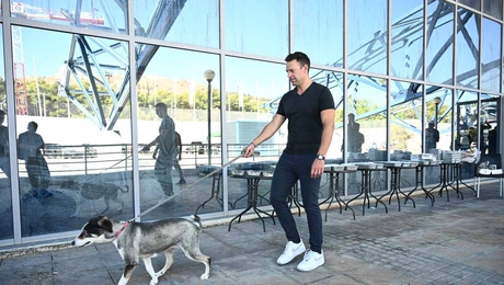 kasselakis-dog