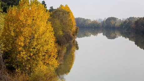 potami