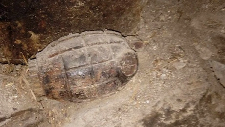 xeirovomvida
