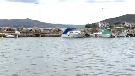 Agria_Volos