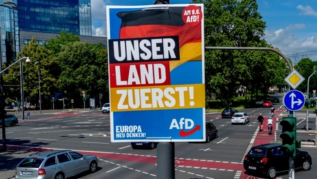 Germania_afisa AFD