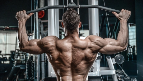 body builder