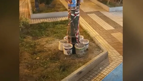 κολωνα μοσχατο