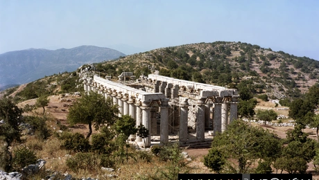 ναός Επικούριου Απόλλωνα