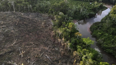 peru amazonios