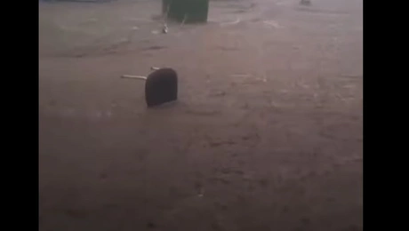 Πολύανθος Ροδόπη 