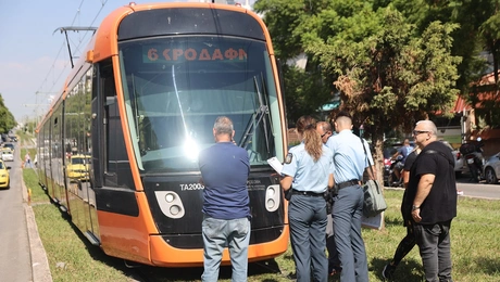 tram parasyrsi