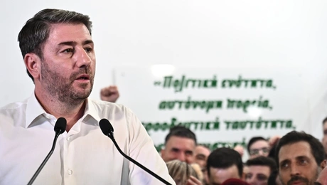 Ο Ανδρουλάκης νικητής στις εκλογές του ΠΑΣΟΚ