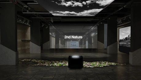 2nd nature