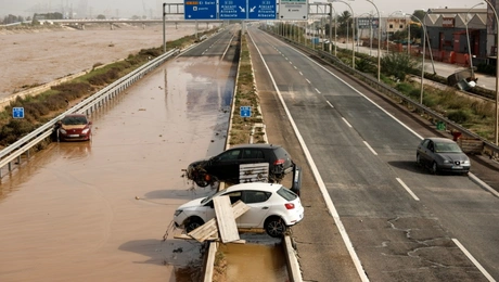 Valencia_plimmires