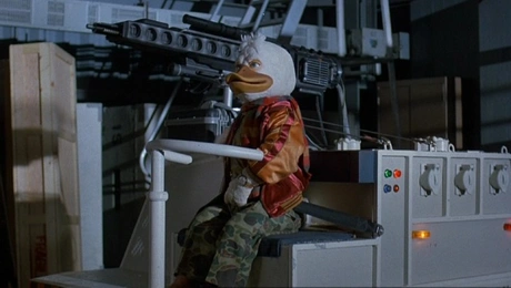 duck