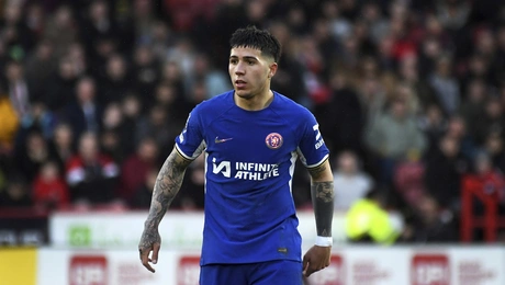 enzo fernandez