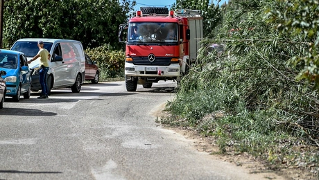 φωτιά Γεράκι Αμαλιάδας