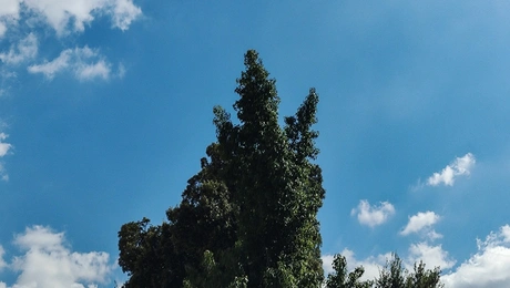 καιρός
