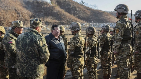 kim stratiotes