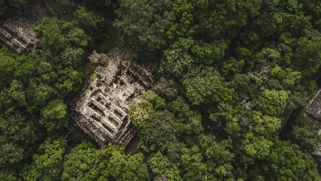 Ερείπια της αρχαίας πόλης Calakmul των Μάγια