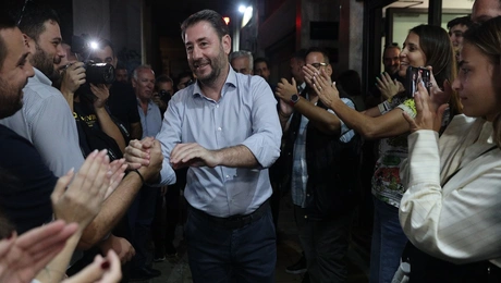 Νίκος Ανδρουλάκης