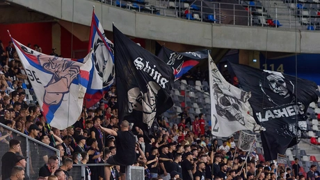 opadoi steaua