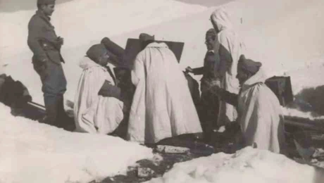 polemos40