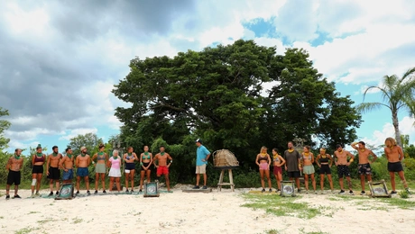 Survivor: Πράσινοι και Κίτρινοι