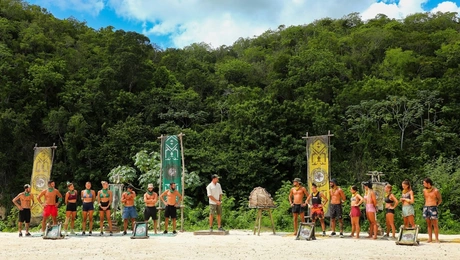 Survivor: Πράσινοι και Κίτρινοι