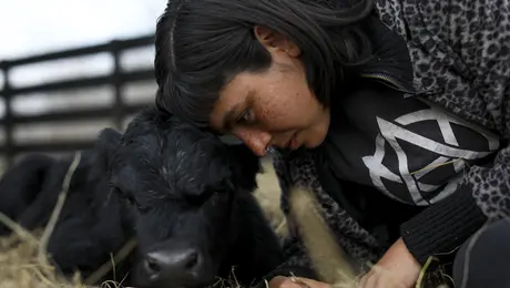 vegan