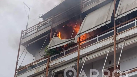 fotia_Kalamata