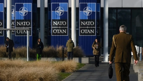 synodos nato