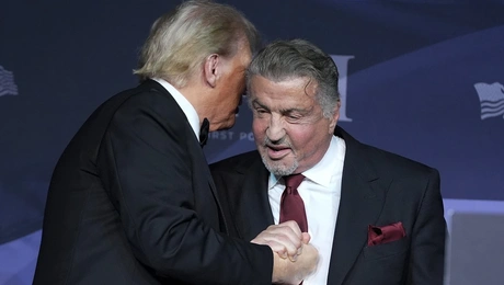 trump stallone