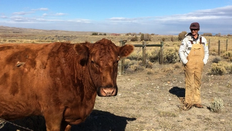 wyoming