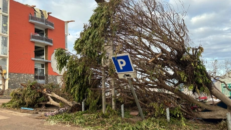 Cyclone Chido