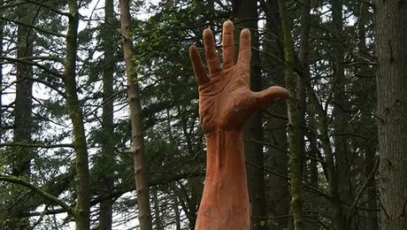 Tree Carving