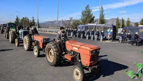 Agrotes_karditsa