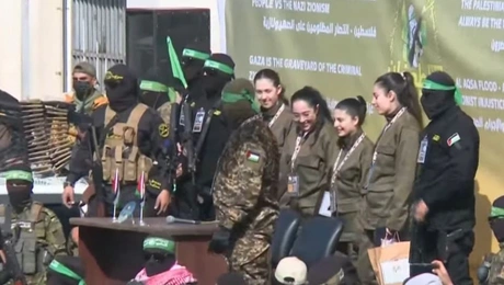 Hamas_omiroi