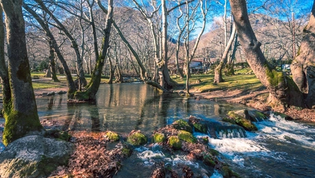 Naousa