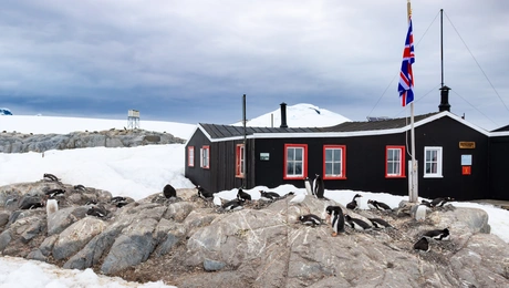 antarctica