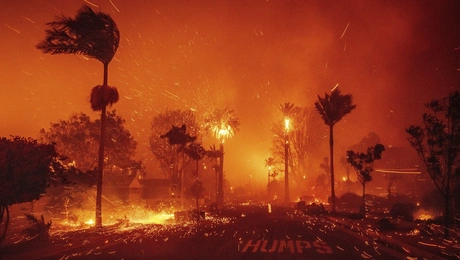 california
