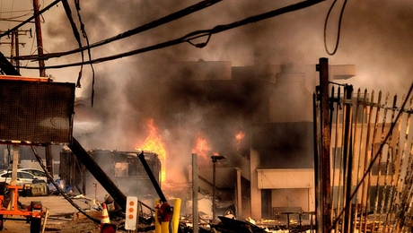 fotia los angeles