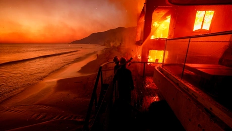 fotia_California