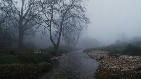 Ομίχλη στην Αττική